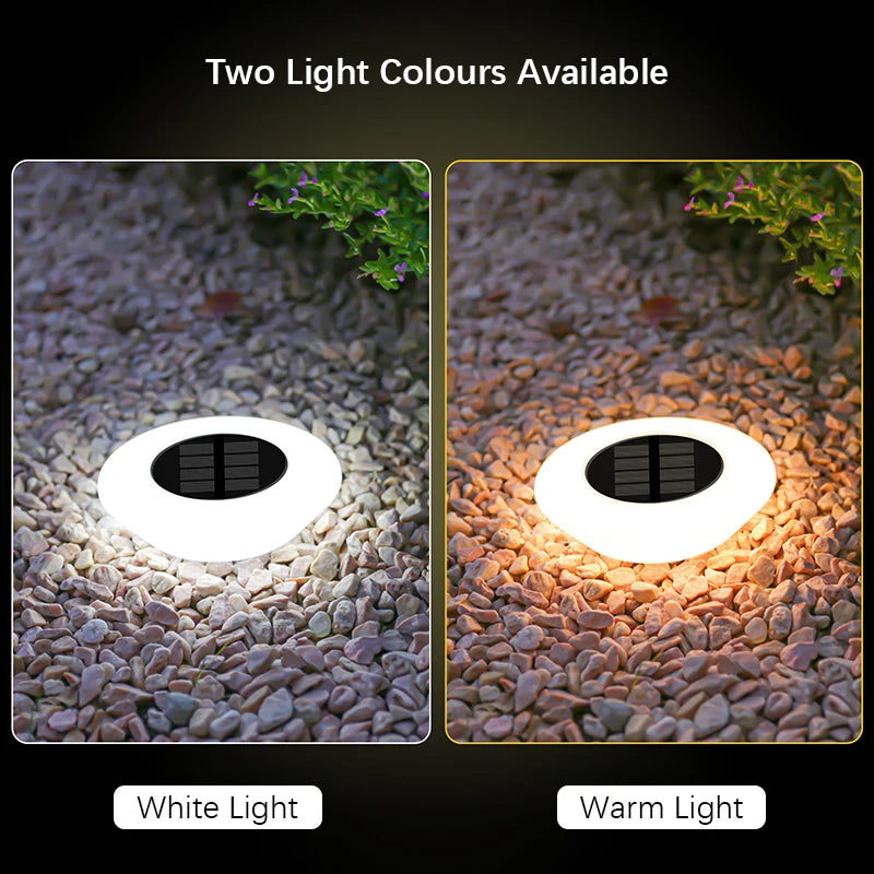 Solar Ground Lights (4-Pack)