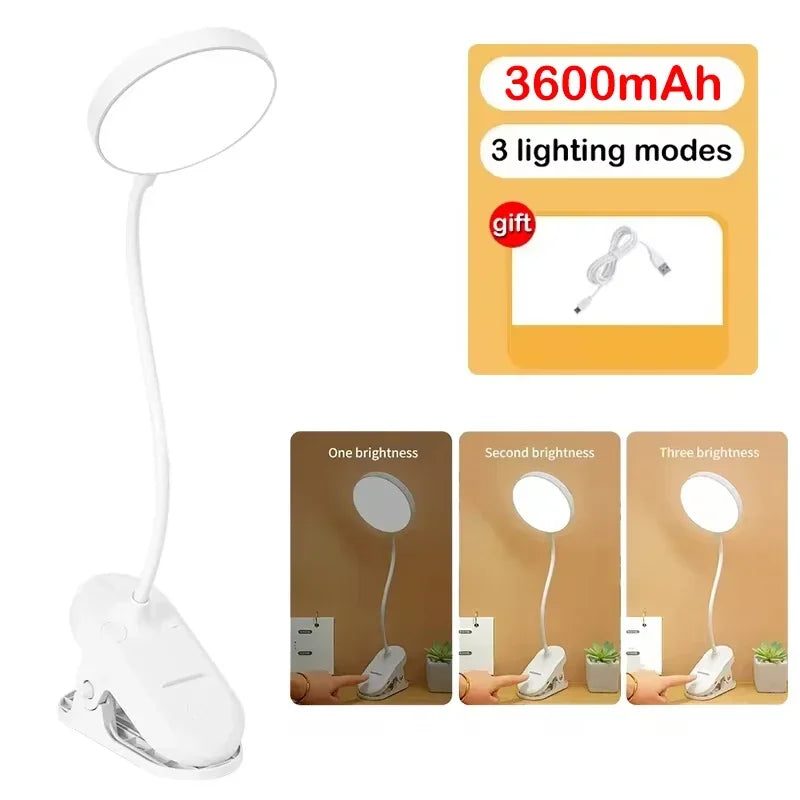 Clamp-On LED Study Lamp