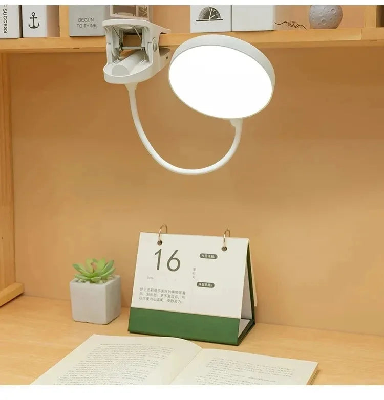 Clamp-On LED Study Lamp