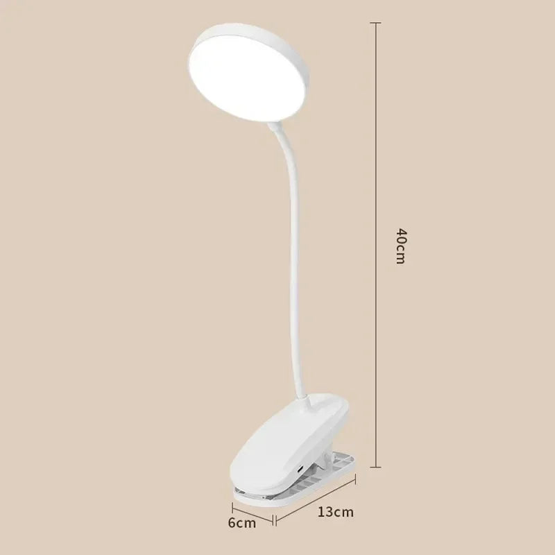Clamp-On LED Study Lamp