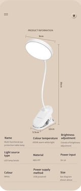 Clamp-On LED Study Lamp