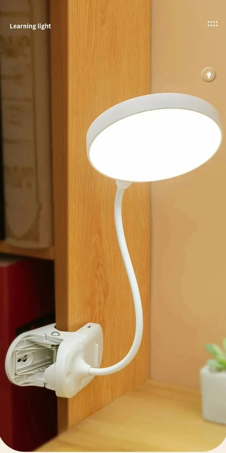 Clamp-On LED Study Lamp