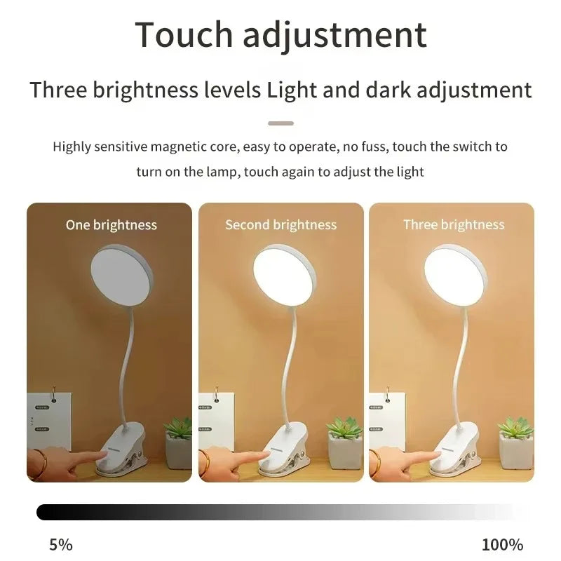 Clamp-On LED Study Lamp