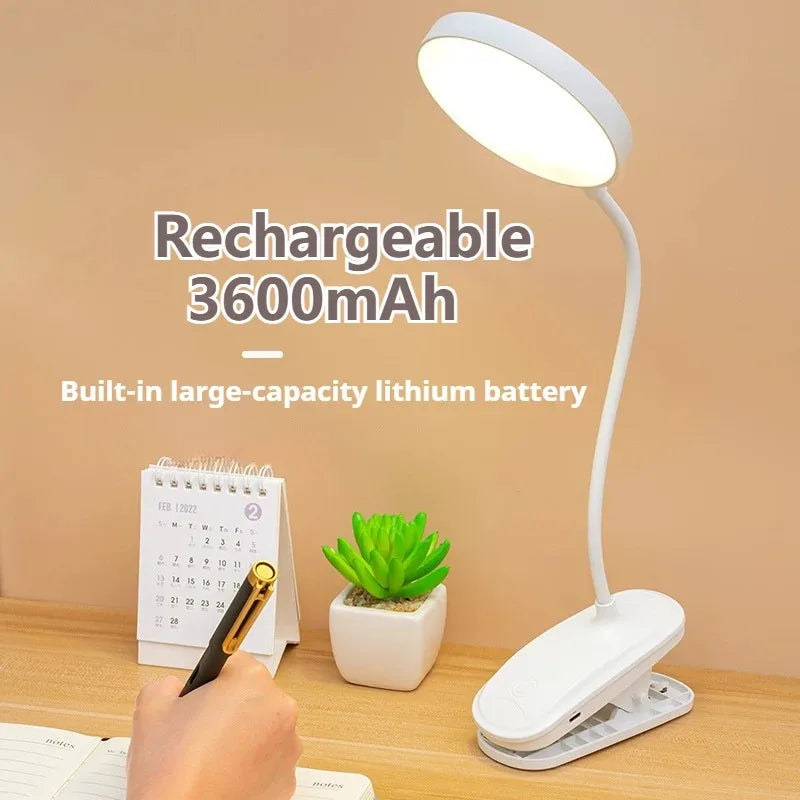 Clamp-On LED Study Lamp