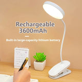 Clamp-On LED Study Lamp