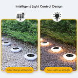 Solar Ground Lights (4-Pack)